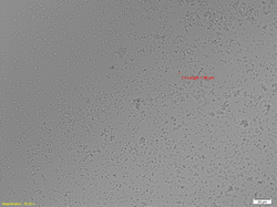 microscop inversat